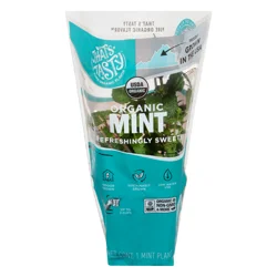 That's Tasty Organic 4 Inch Living Mint