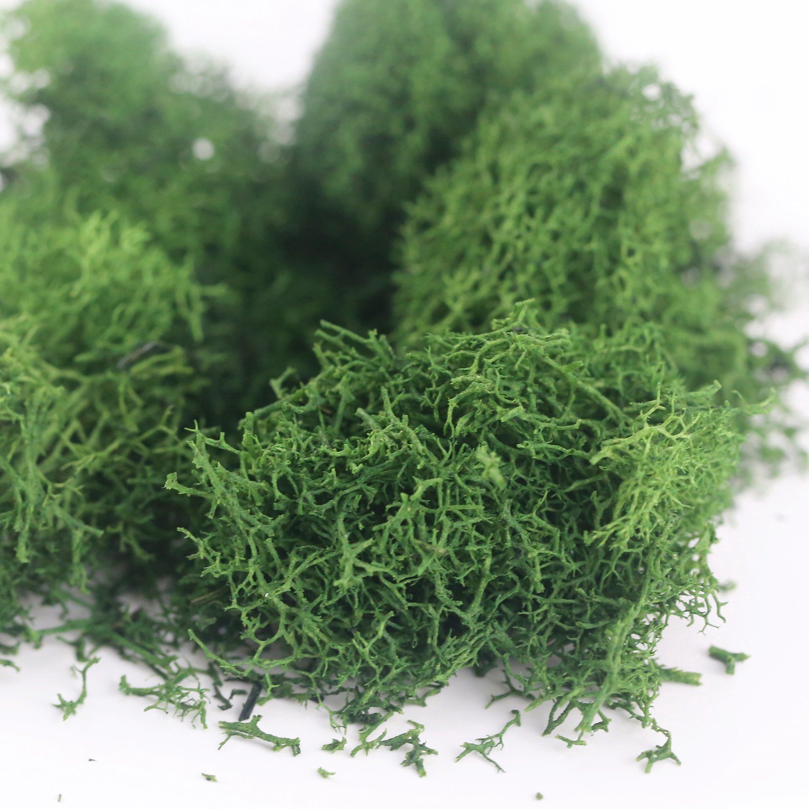 slide 2 of 2, Mini Scenery Plants By Make Market, 0.2 oz