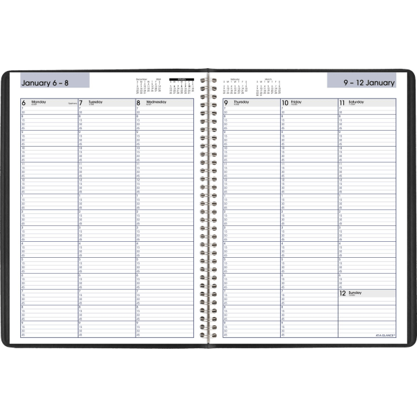 slide 3 of 3, 2025 At-A-Glance Dayminder Weekly Appointment Book Planner, 8"" X 11"", Black, January 2025 To December 2025,, 1 ct