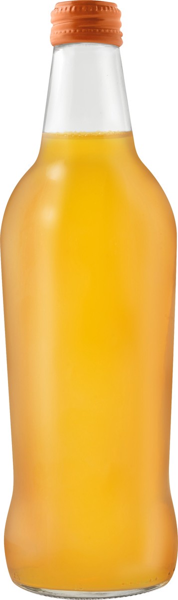 slide 5 of 10, Izze Juice Beverage - 16 oz, 16 oz