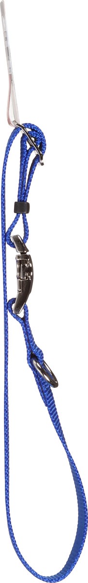 slide 8 of 10, Coastal Blue Collar Medium 20 Inch 1 ea, 1 ct