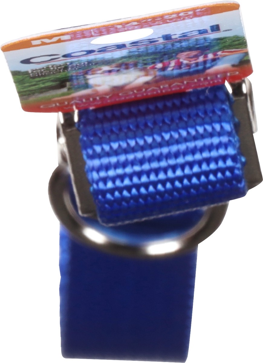 slide 3 of 10, Coastal Blue Collar Medium 20 Inch 1 ea, 1 ct