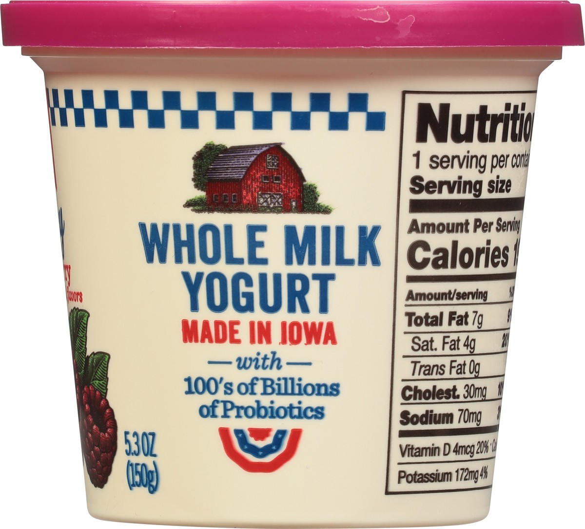 slide 3 of 9, AE Dairy Whole Milk Raspberry Yogurt 5.3 oz, 5.3 oz