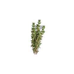 Crazy Fresh Organic Thyme