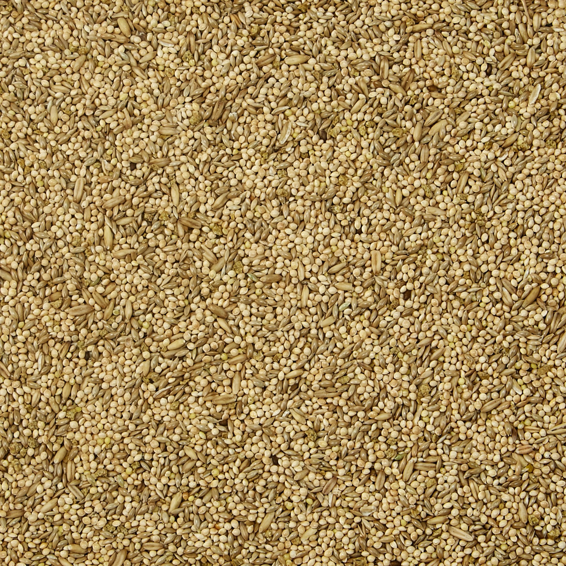 slide 6 of 6, Kaytee Supreme Daily Blend Parakeet Food, 2 lb