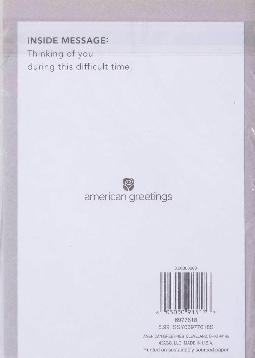 slide 7 of 9, American Greetings Greeting Card 1 ea, 1 ct