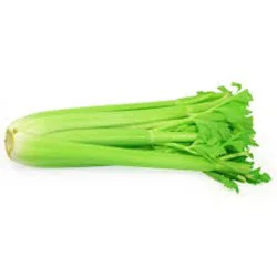 T&A Organic Celery Stalk