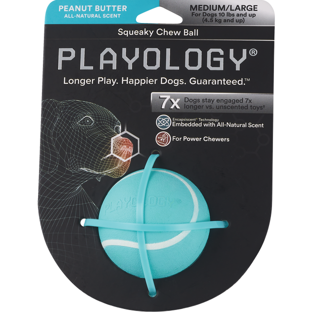 slide 1 of 1, PLAYOLOGY Ply Squky Chew Bll Holgrvy Md/Lg, 1 ct