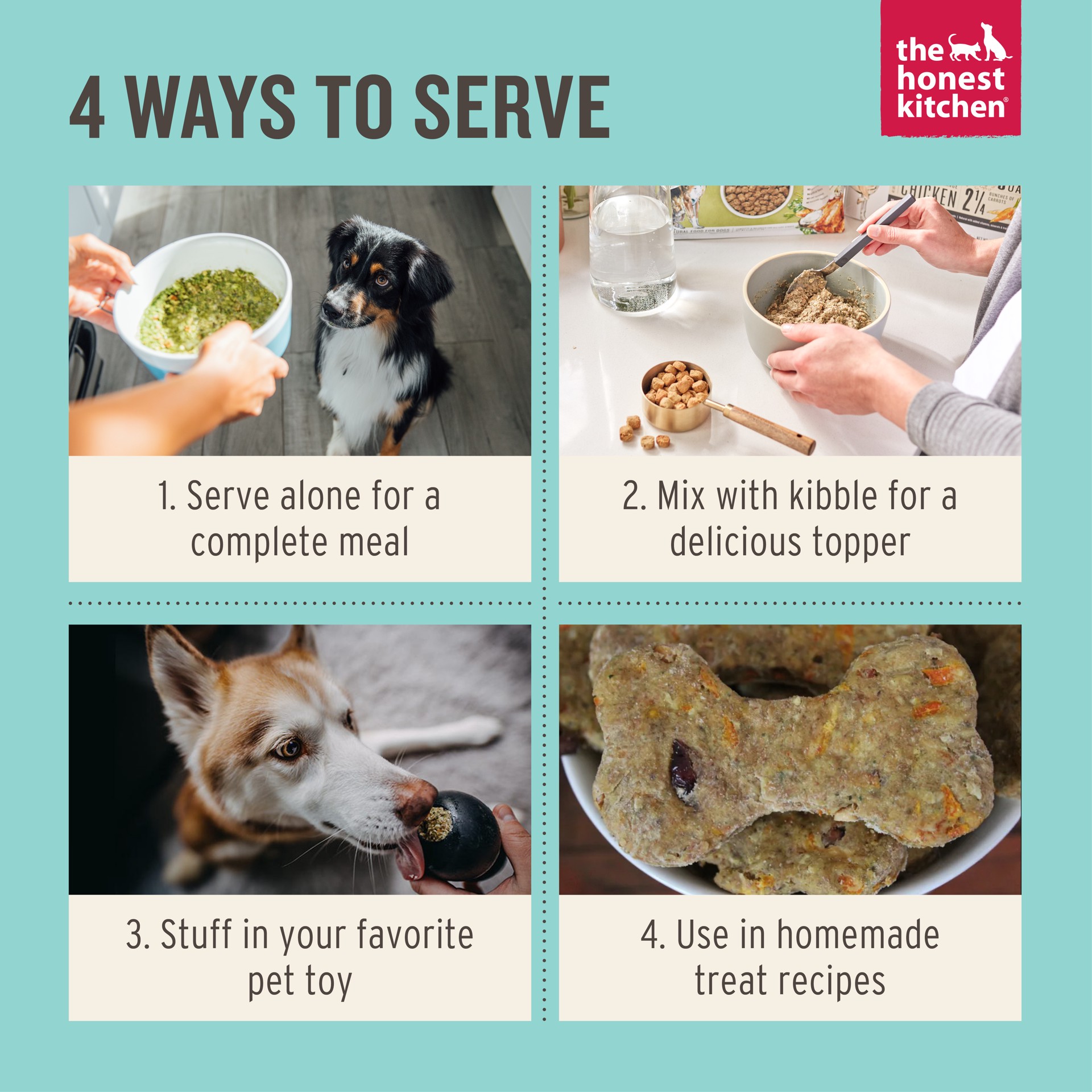 slide 8 of 9, The Honest Kitchen Dehydrated Wholemade™ Whole Grain Chicken Dog Food, 2 lb Bag, 2 lb