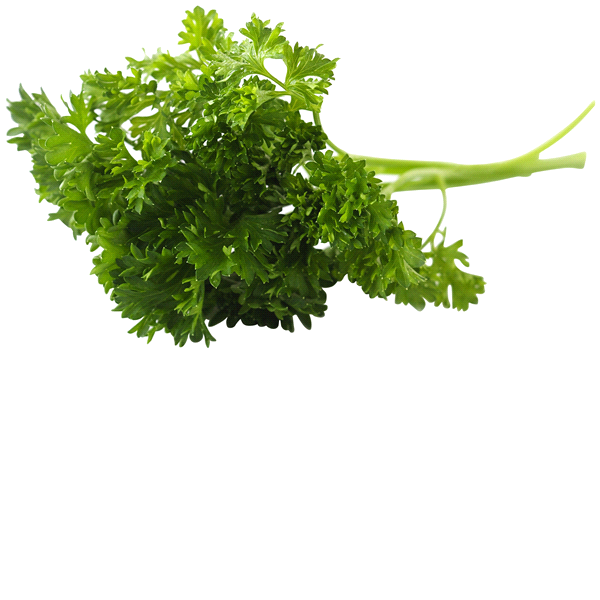 slide 1 of 1, Infinite Herbs Organic Parsley, 0.75 oz