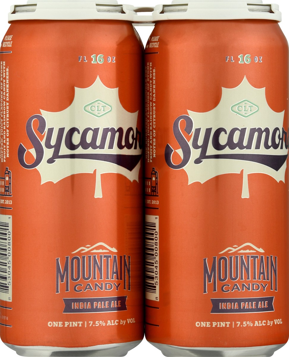 slide 5 of 9, Sycamore India Pale Ale Mountain Candy Beer 4 ea, 4 ct
