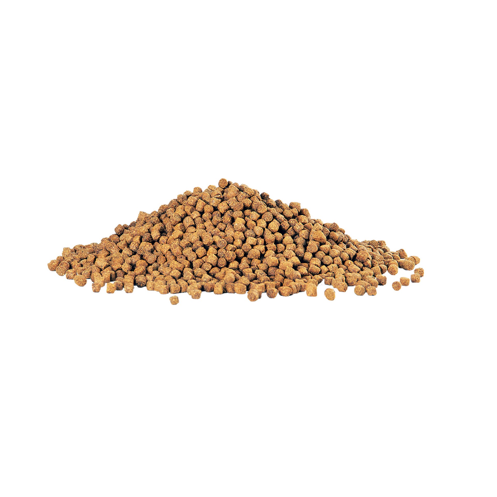 slide 5 of 5, Aqueon Cichlid Food Medium 4.5 Ounces, 1 ct