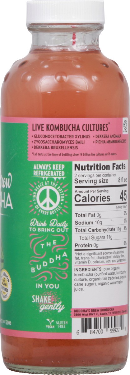 slide 2 of 14, Buddha's Brew Watermelon Kombucha - 16 fl oz, 16 oz