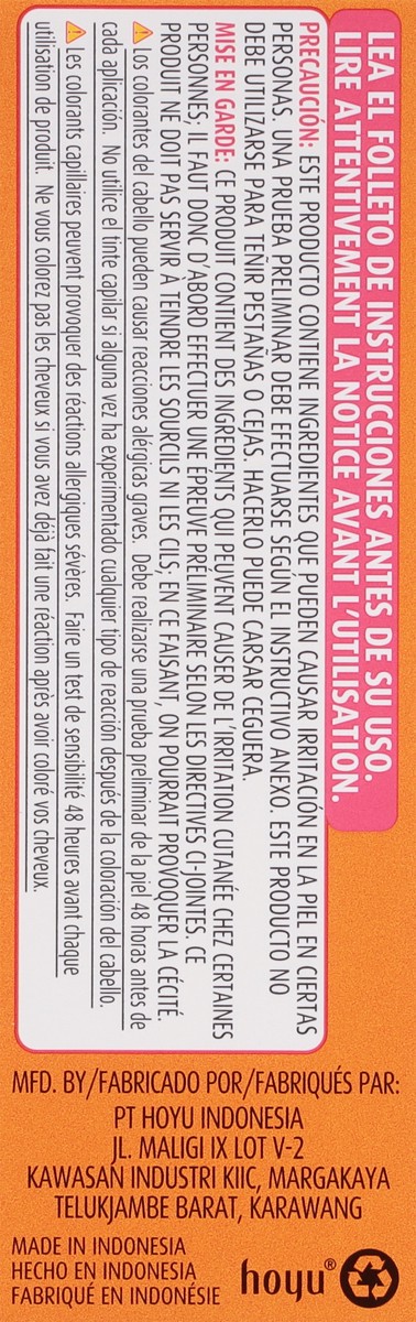 slide 6 of 11, Bigen Dark Chestnut 48 Permanent Powder Hair Color 0.21 oz, 0.21 oz