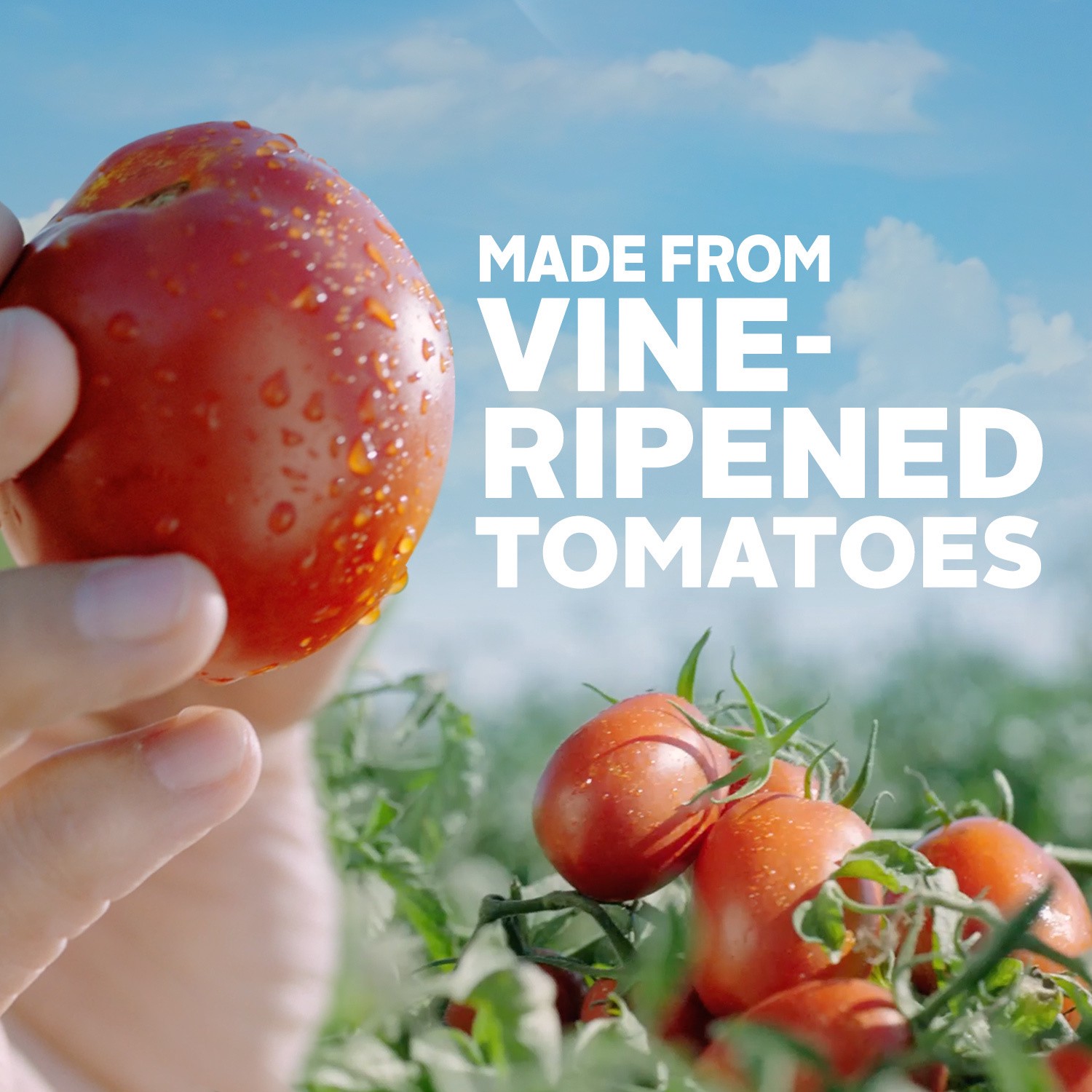 slide 4 of 5, Hunt's Fire Roasted Diced Tomatoes, 28 oz., 28 oz