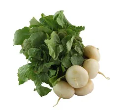 Fresh Snowball Radishes