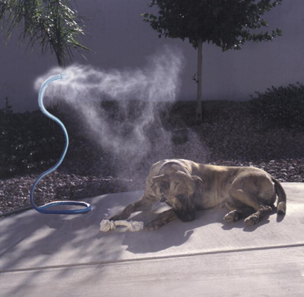 slide 5 of 6, Cobra Mist Stand, 1 ct