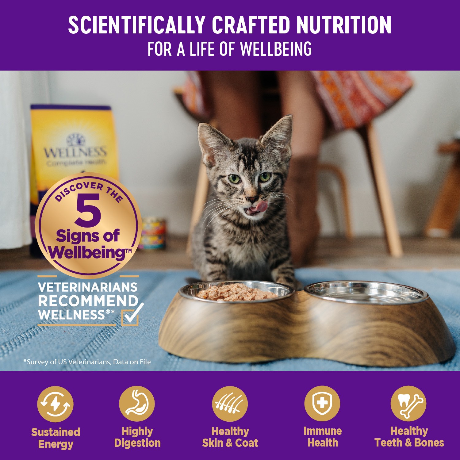 slide 5 of 8, Wellness Cat Food Chicken Minced, 3 oz