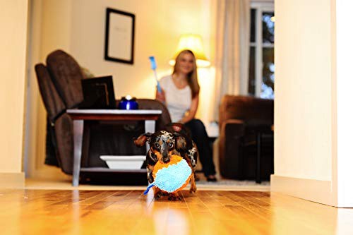 slide 5 of 10, Chuckit!! Indoor Shaker, 1 ct