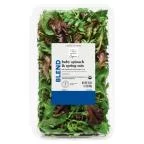 Wholesome Pantry Organic Baby Spinach & Spring Mix