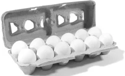 Garno Farms Extra Large Duck Eggs