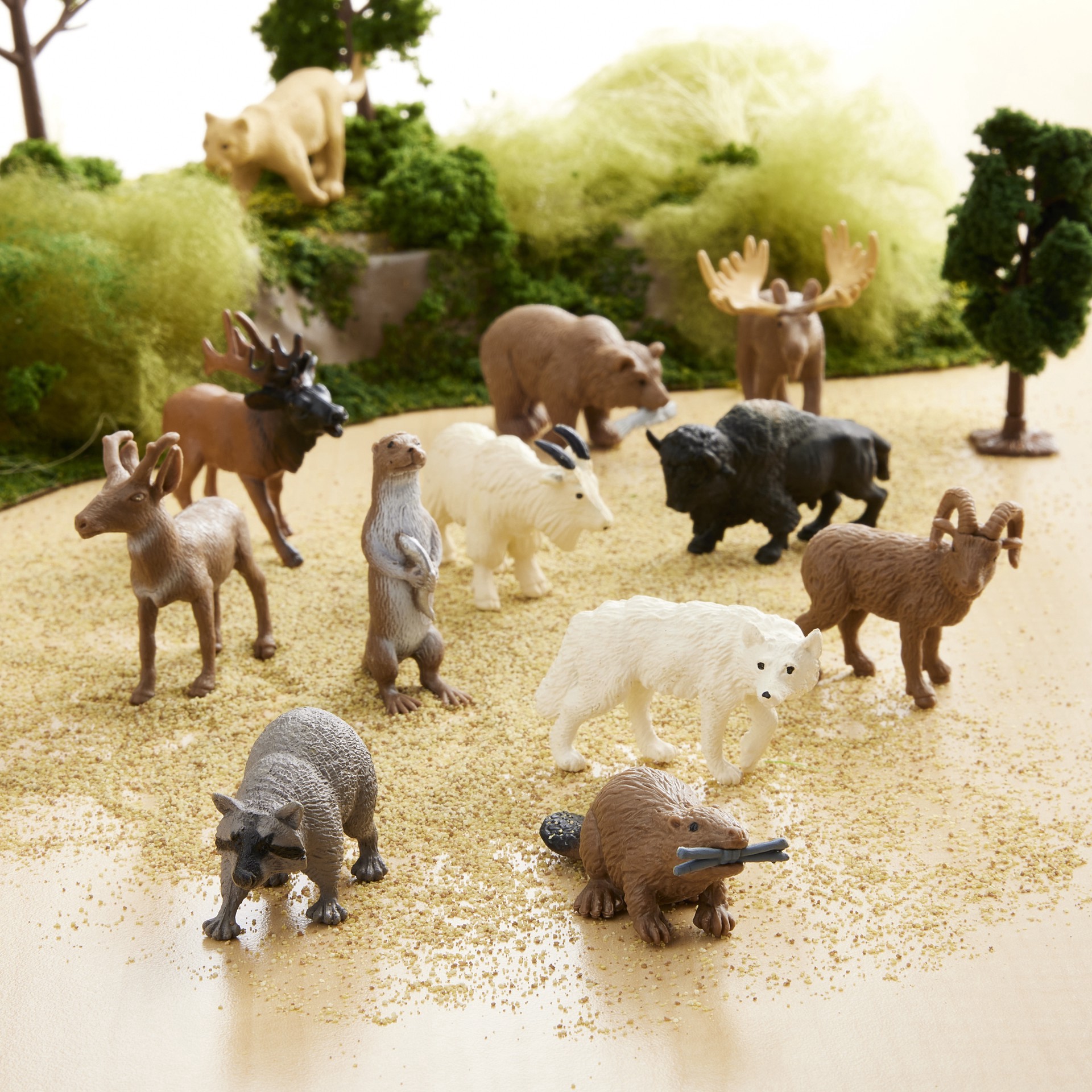 slide 2 of 3, Safari Ltd. Safari Ltd Toobs North American Wildlife, 12 figures