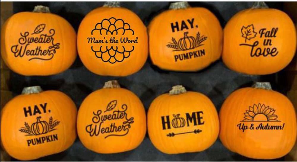 slide 1 of 1, Pumpkin Patch Pals Sillhouette Pun-Kin, 1 ct