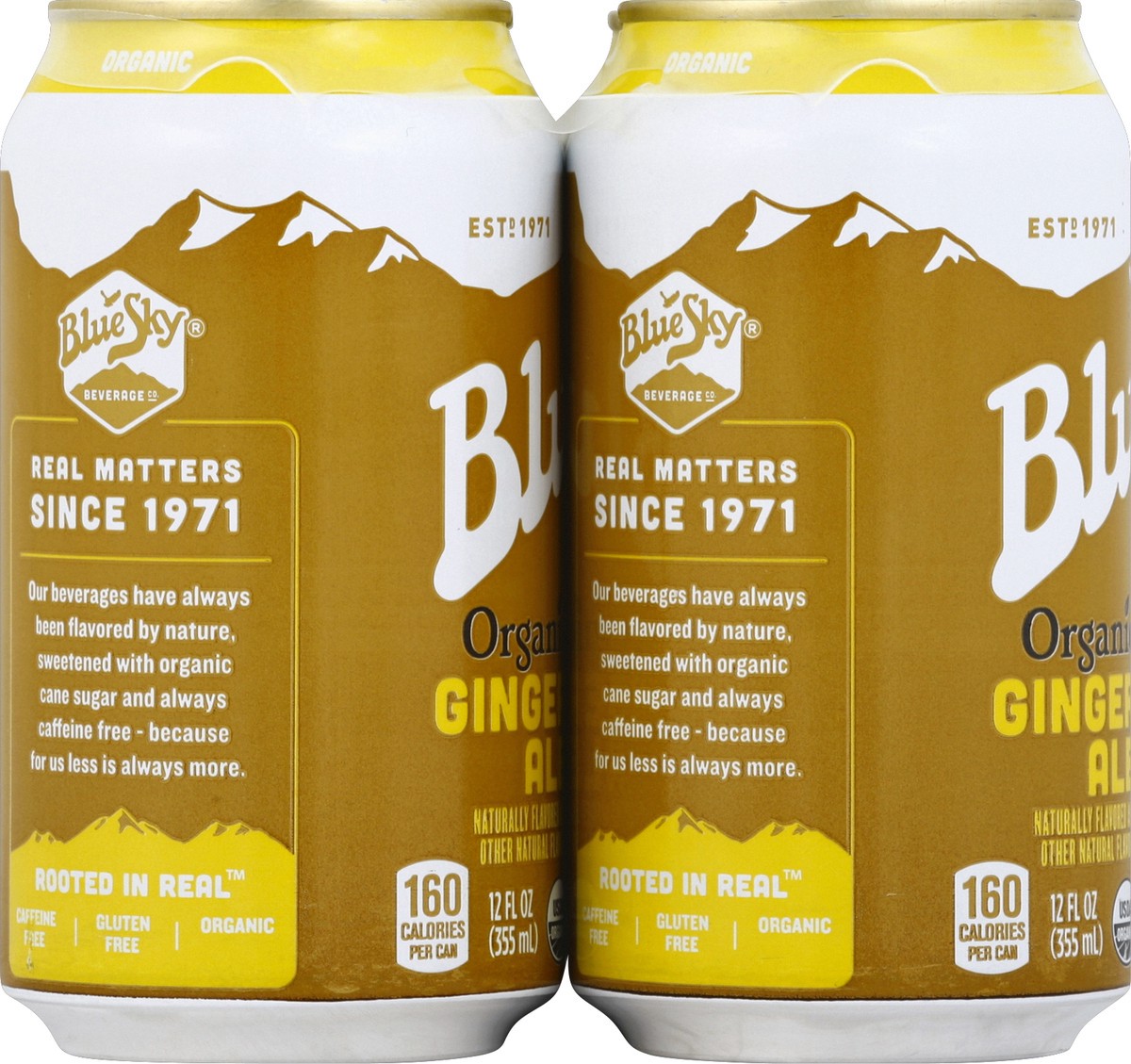 slide 3 of 4, Blue Sky Organic Ginger Ale 12 oz, 6 ct; 12 fl oz