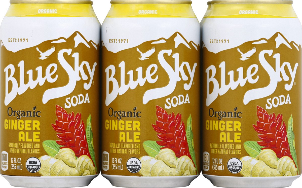 slide 4 of 4, Blue Sky Organic Ginger Ale 12 oz, 6 ct; 12 fl oz