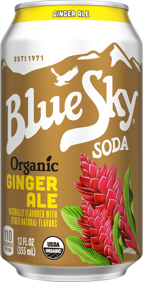 slide 1 of 4, Blue Sky Organic Ginger Ale - 12 oz, 12 oz