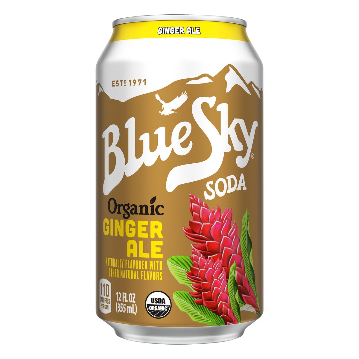 slide 1 of 4, Blue Sky Organic Ginger Ale 12 oz, 6 ct; 12 fl oz