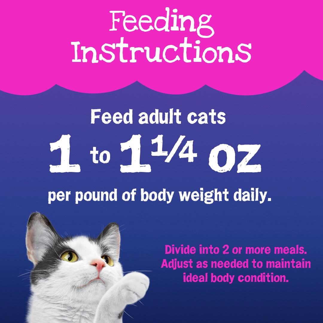 slide 2 of 8, Purina Friskies Gravy Wet Cat Food, Stuf'd & Sauc'd Kick'n With Chicken & Dripp'n - 5.5 oz. Pull-Top Can, 5.5 oz