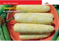 slide 1 of 1, Burpee Bi-Licious Sweet Corn Hybrid Value Pack Seeds - Yellow, 1 ct