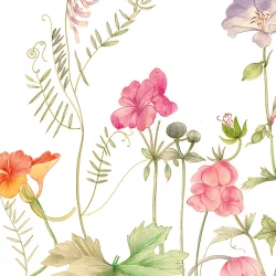 Caspari French Floral Paper Guest Towel Napkins