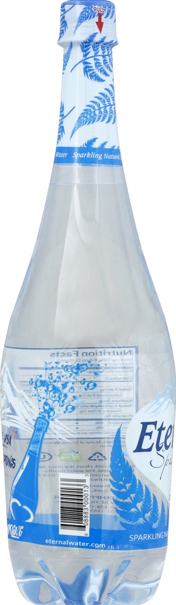 slide 3 of 4, Eternal Spring Water, Natural, Sparkling - 33.8 oz, 33.8 oz