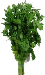 Organic Parsley Curly