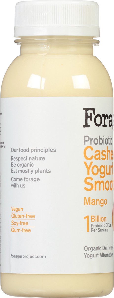 slide 4 of 9, Forager Project Dairy-Free Organic Probiotic Mango Yogurt Alternative - 8 oz, 8 oz