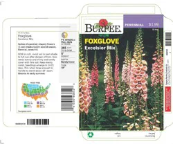 Burpee Foxglove Excelsior Mix