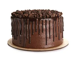 Chocolate Single Layer Cake
