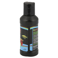 slide 6 of 13, GloFish Water Conditioner, 4 fl oz