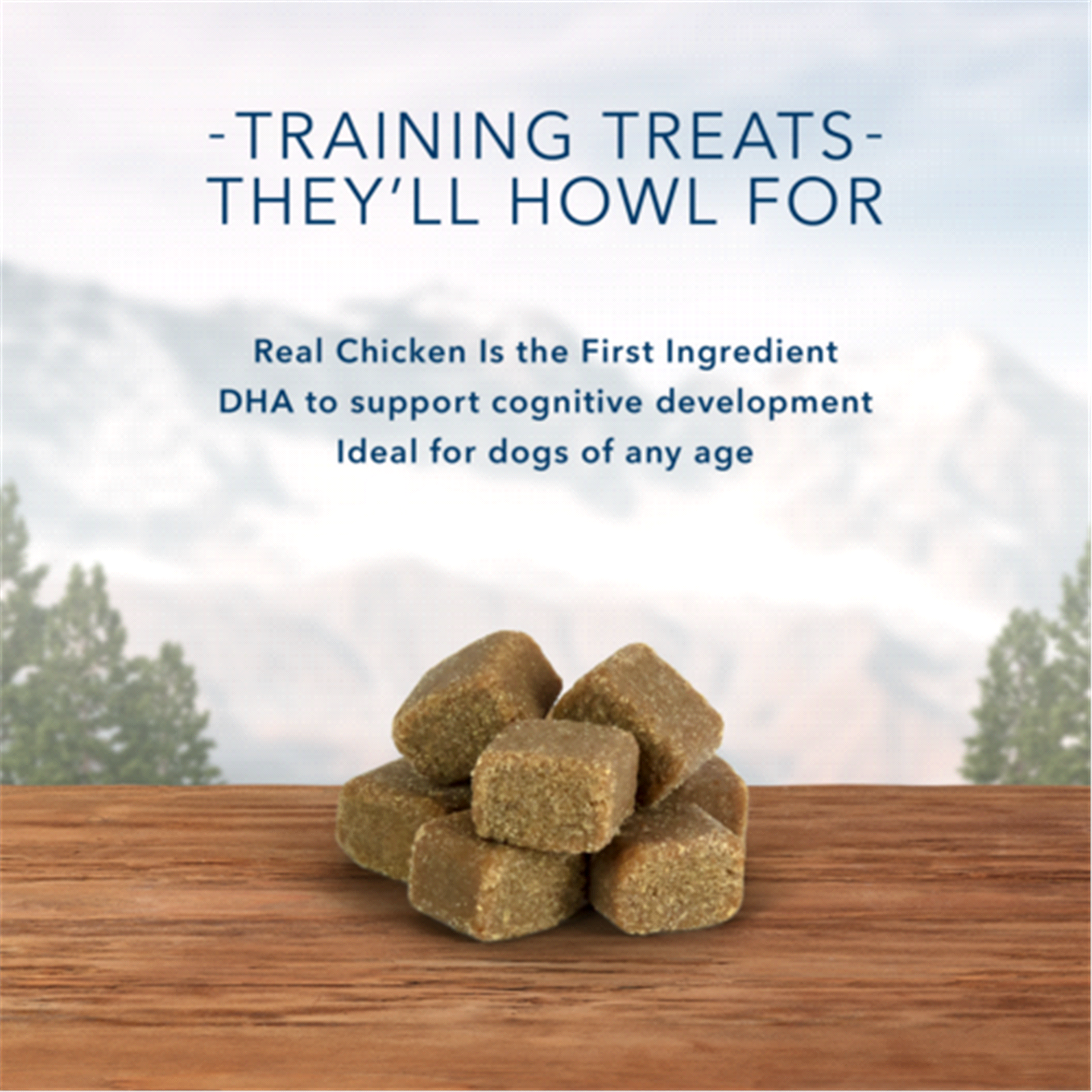 slide 17 of 17, Blue Buffalo Wilderness Trail Treats Wild Bits High Protein Grain-Free Soft-Moist Training Dog Treats Chicken Recipe - 10oz, 10 oz