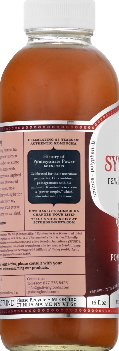 slide 2 of 10, GT's Synergy Pomegranate Power Raw Kombucha - 16 oz, 16 oz