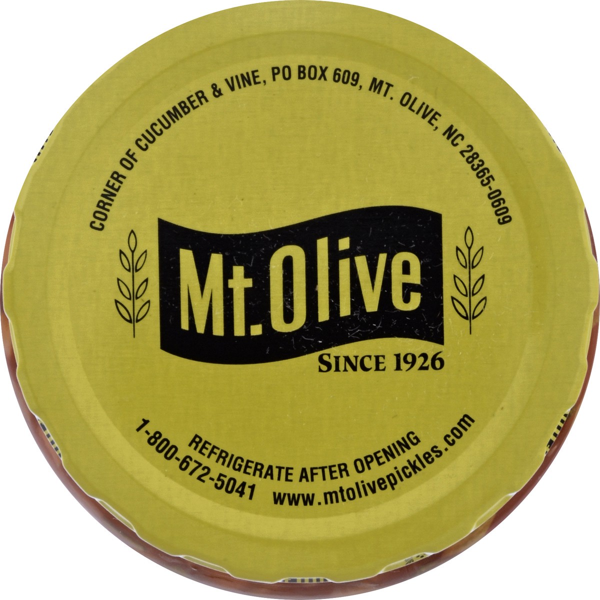 slide 8 of 9, Mt. Olive Mild Pickle Salsa 16 fl oz Jar, 16 fl oz