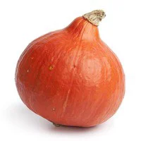 Kurpi Squash
