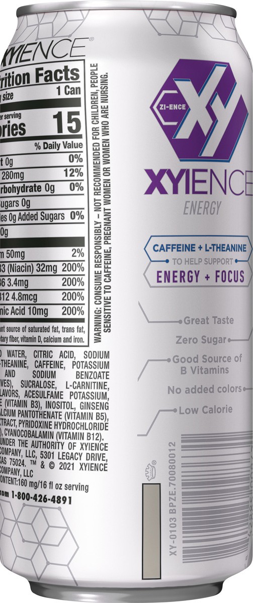slide 8 of 12, XYIENCE Blueberry Pomegranate Energy Drink, 16 fl oz can, 16 fl oz