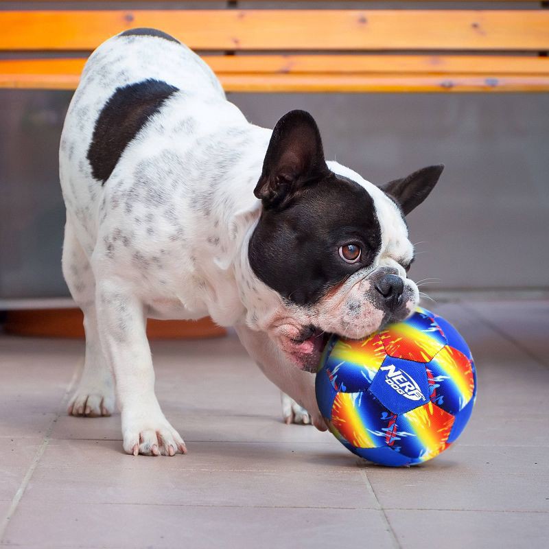slide 4 of 6, Nerf Color Grip Squeaker Ball Dog Toy, large/x large