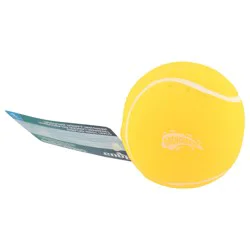 Aqua Drenchers Age 3+ Sport Ball 3.25 Inch 1 ea