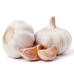 Garlic
