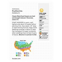 slide 3 of 5, Burpee Rudbeckia Goldsturm Seeds, 1 ct