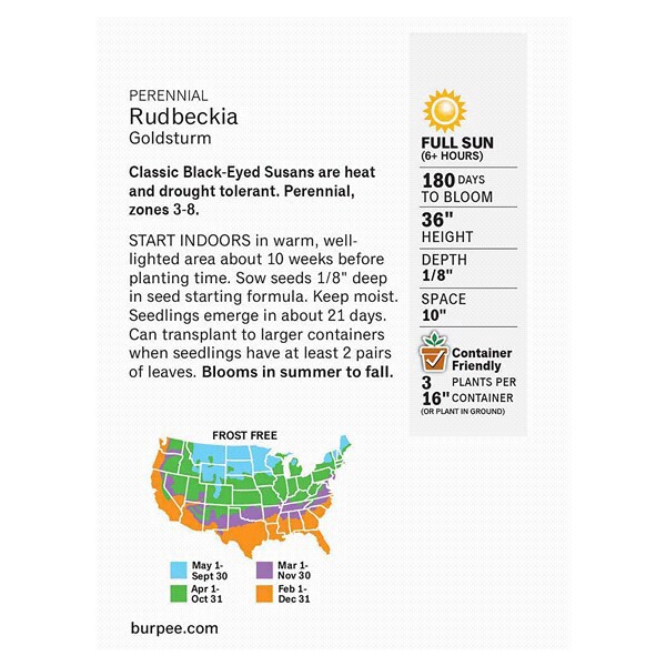 slide 4 of 5, Burpee Rudbeckia Goldsturm Seeds, 1 ct